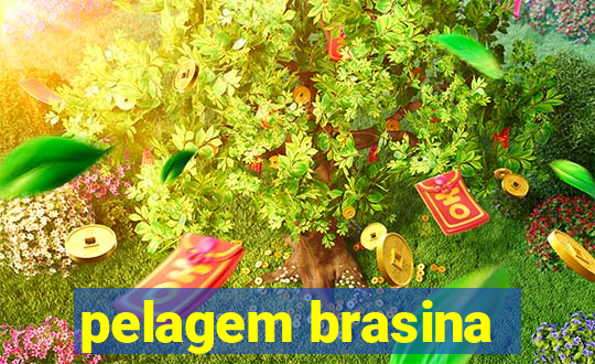 pelagem brasina